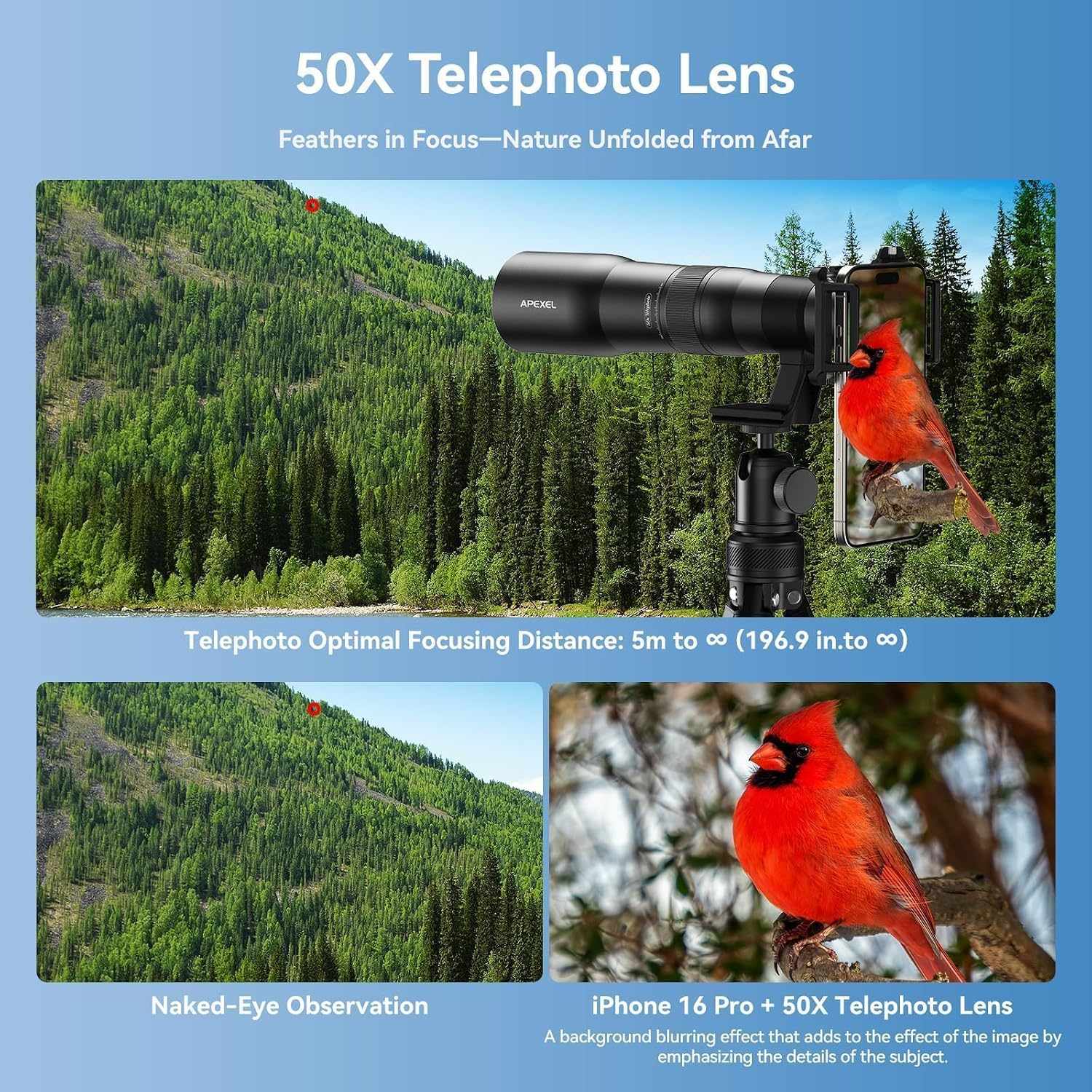 APEXEL Telecular 20-60x Professional Compact Zoom Lens for Smartphones